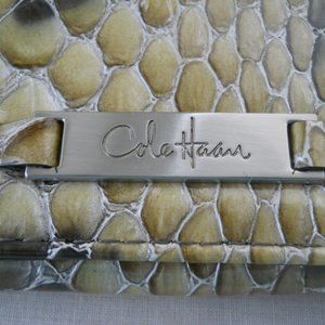Cole Haan snakeskin clutch